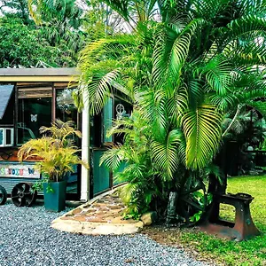*** Guest house Butterfly Australia